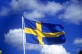 svenskaflaggan.jpg